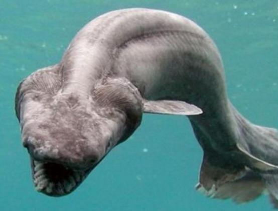 ����ʮ������~��ؼ��~���؞lΣ������(n��i)�Ӡ������~�����x�_ˮ����