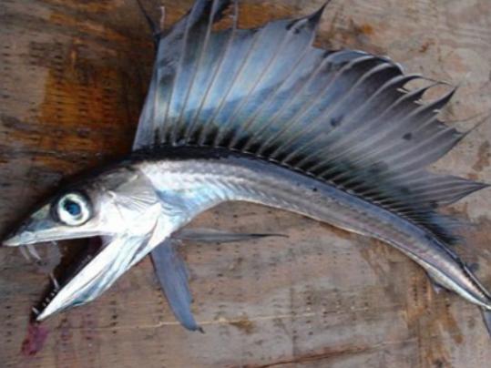 ����ʮ������~����ؼ��~���؞lΣ������(n��i)�Ӡ������~�����x�_ˮ����