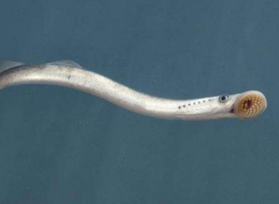 ����ʮ������~��ؼ��~���؞lΣ������(n��i)�Ӡ������~�����x�_ˮ����