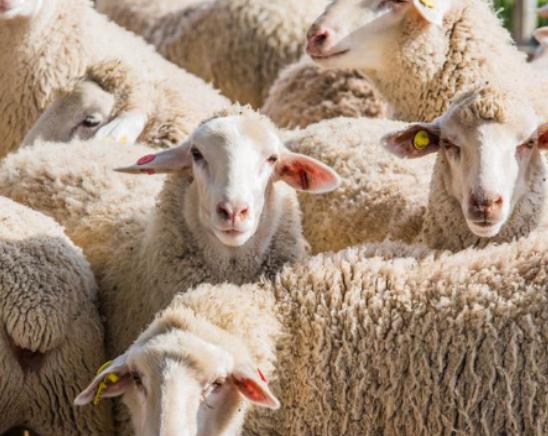 ����������͵������(d��ng)��^�W�^���԰��Լ����ˤ�����d������Ҳ���n