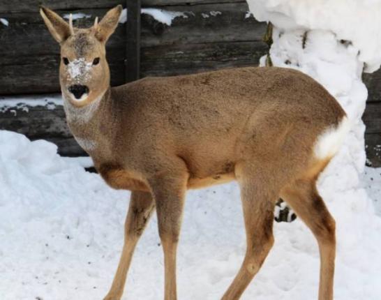 ����������͵������(d��ng)��^�W�^���԰��Լ����ˤ�����d������Ҳ���n