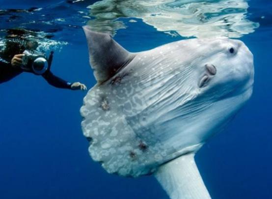 ����������͵������(d��ng)��^�W�^���԰��Լ����ˤ�����d������Ҳ���n