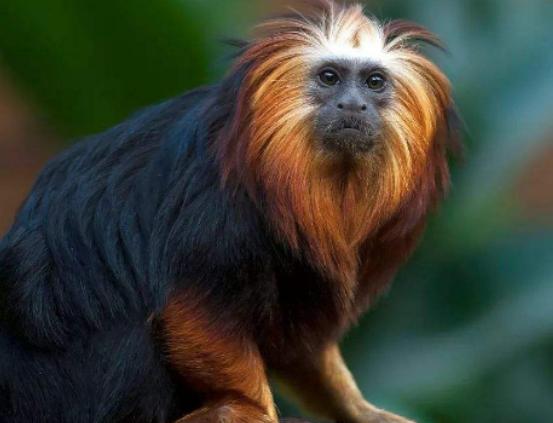 ����ʮ����ϡ�еĄ�(d��ng)��������צ��Ϭţȫ��H��35�^���h(yu��n)�|���F(xi��n)��s10ֻ