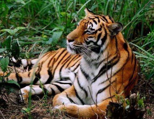 ����ʮ����ϡ�еĄ�(d��ng)��������צ��Ϭţȫ��H��35�^���h(yu��n)�|���F(xi��n)��s10ֻ