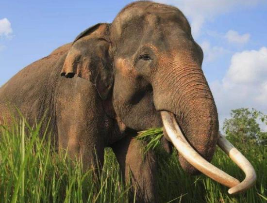 ����ʮ����ϡ�еĄ�(d��ng)��������צ��Ϭţȫ��H��35�^���h(yu��n)�|���F(xi��n)��s10ֻ