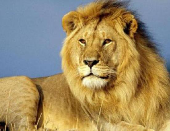 ����ʮ����B؈�Ƅ���ϻ��܃��͡��{���ǅ���֮��