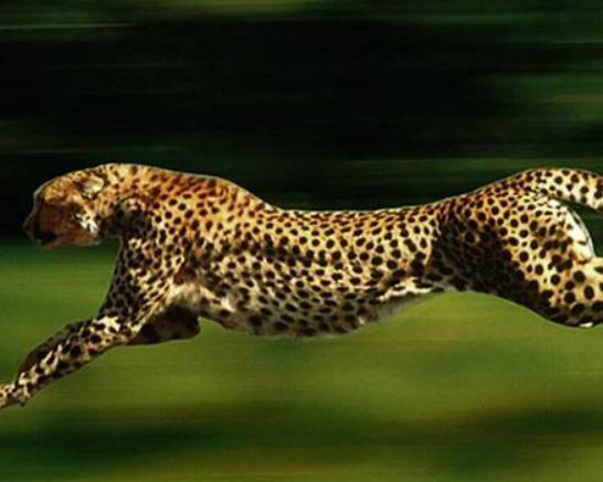 ����ʮ����B؈�Ƅ���ϻ��܃��͡��{���ǅ���֮��