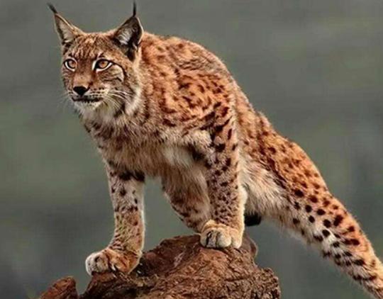 ����ʮ����B؈�Ƅ���ϻ��܃��͡��{���ǅ���֮��