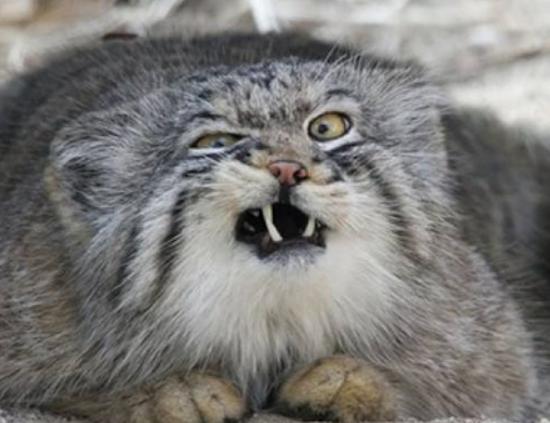 ����ʮ����B؈�Ƅ���ϻ��܃��͡��{���ǅ���֮��