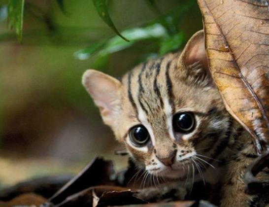 ����ʮ����B؈�Ƅ���ϻ��܃��͡��{���ǅ���֮��