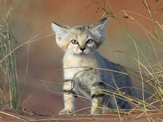 ����ʮ����B؈�Ƅ���ϻ��܃��͡��{���ǅ���֮��