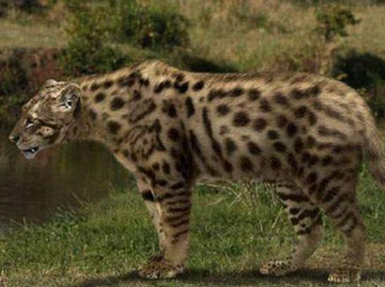 ����ʮ����B؈�Ƅ���ϻ��܃��͡��{���ǅ���֮��