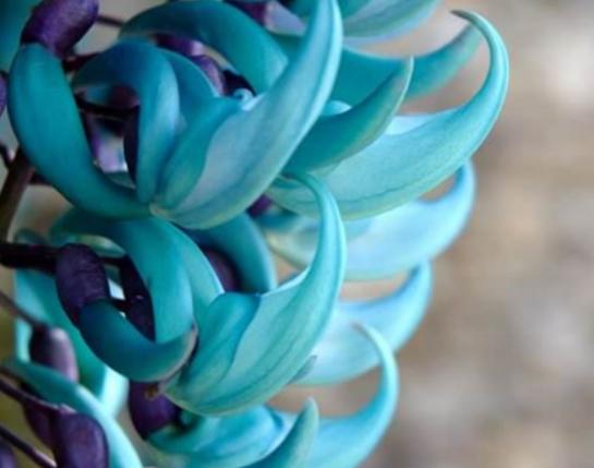 �����������صĻ����а����`�m���ǳ�ϡ�С��ɿ��������ǞlΣ����