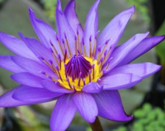 �����������صĻ����а����`�m���ǳ�ϡ�С��ɿ��������ǞlΣ����