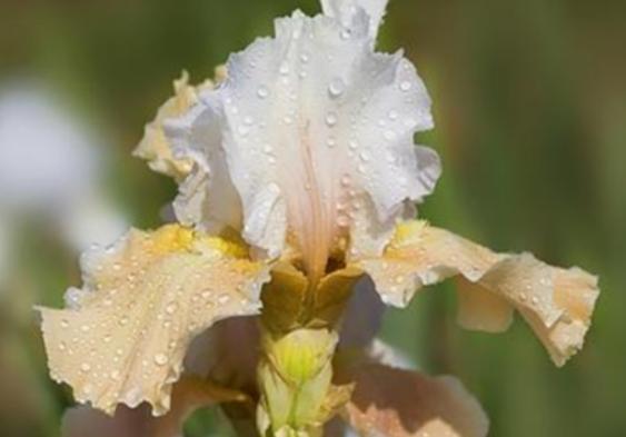 �����������صĻ����а����`�m���ǳ�ϡ�С��ɿ��������ǞlΣ����