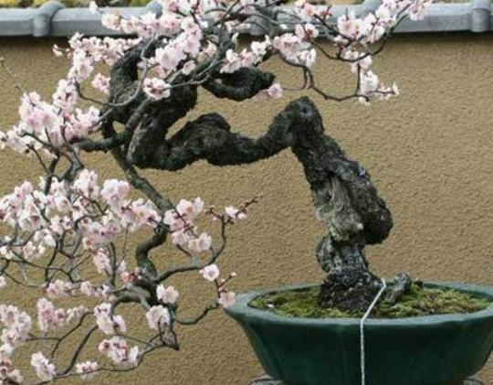 ʮ�����ڼ����B(y��ng)�Ļ���һƷ�t֭Һ��(hu��)�̼�Ƥ�w���˰���Ԣ�ⲻ����