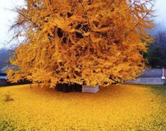 ������Ư���Ę����������µ�һ�y�Ә䡢���������y�Ә�׌�������澏