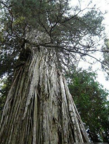 ������Ư���Ę����������µ�һ�y�Ә䡢���������y�Ә�׌�������澏