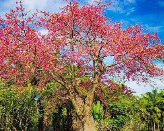 ������Ư���Ę����������µ�һ�y�Ә䡢���������y�Ә�׌�������澏