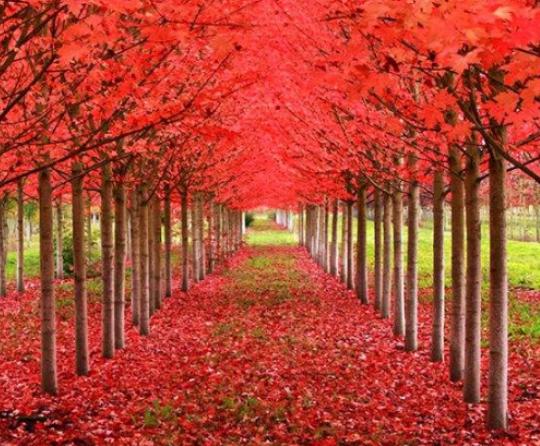 ������Ư���Ę����������µ�һ�y�Ә䡢���������y�Ә�׌�������澏