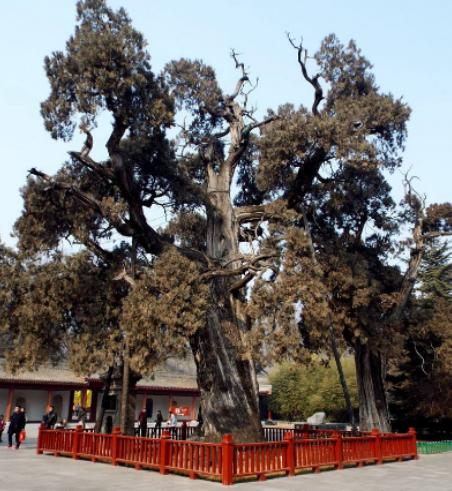 ������Ư���Ę����������µ�һ�y�Ә������������y�Ә�׌�������澏