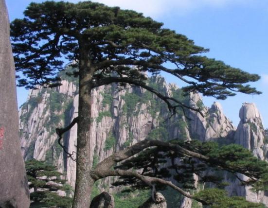 ������Ư���Ę����������µ�һ�y�Ә������������y�Ә�׌�������澏