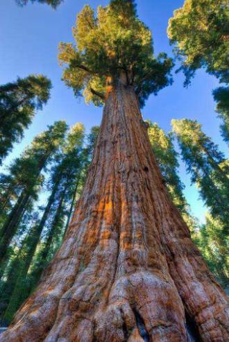 ������Ư���Ę����������µ�һ�y�Ә������������y�Ә�׌�������澏