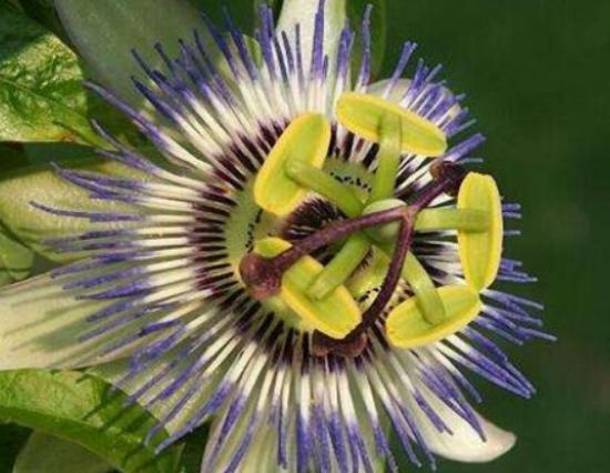 ����ʮ���殐ֲ����������݆��׌������η�����y�Ȳ������\��Ԣ��