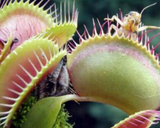 ����ʮ���殐ֲ����������݆��׌������η�֡��y�Ȳ������\��Ԣ��