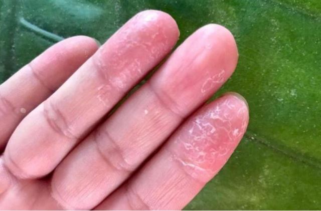 �ְ_���ڰY����ʲô �ְ_��������ί�