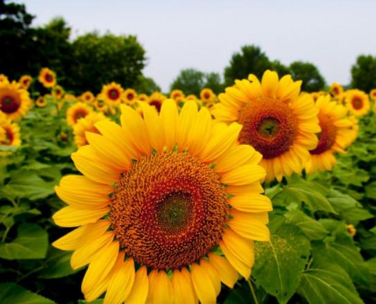 ����ʮ�󱯂��Ļ��Z��ݱ�»����Zĩ·֮�����˰������Z�����Ļؑ�