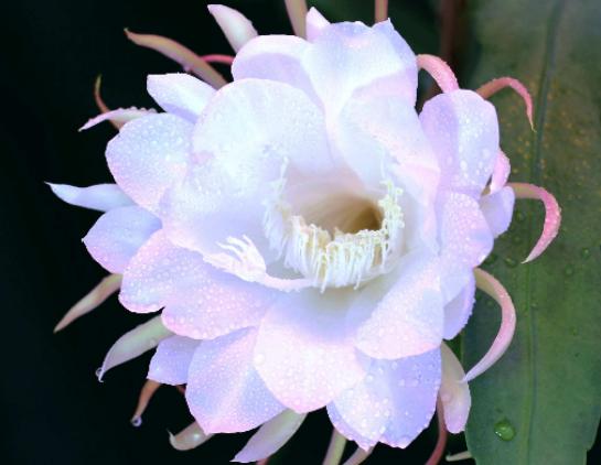 ����ʮ�󱯂��Ļ��Z��ݱ�»����Zĩ·֮�����˰������Z�����Ļؑ�