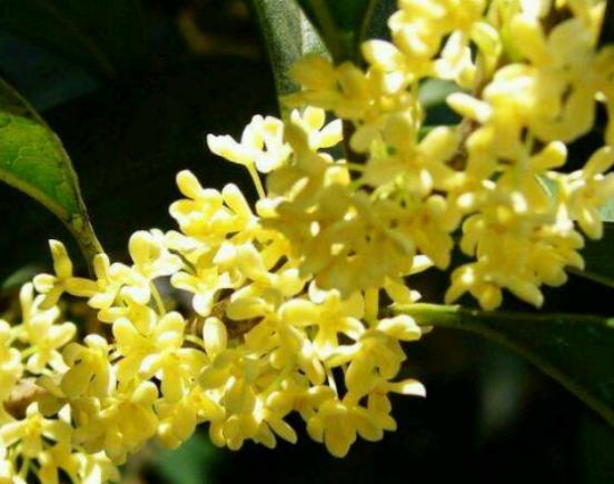 ����ʮ�󱯂��Ļ��Z��ݱ�»����Zĩ·֮�����˰������Z�����Ļؑ�