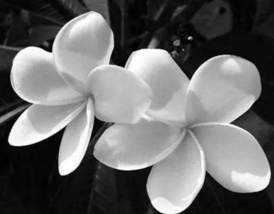 ����ʮ�󱯂��Ļ��Z��ݱ�»����Zĩ·֮�����˰������Z�����Ļؑ�