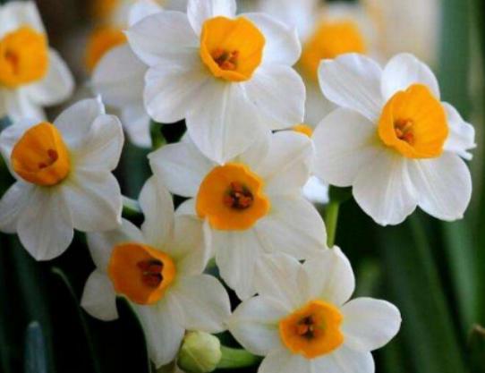 ����ʮ�󱯂��Ļ��Z��ݱ�»����Zĩ·֮�����˰������Z�����Ļؑ�