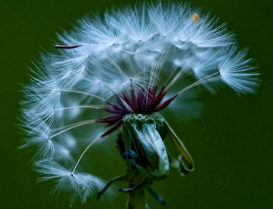 ����ʮ�󱯂��Ļ��Z��ݱ�»����Zĩ·֮�����˰������Z�����Ļؑ�