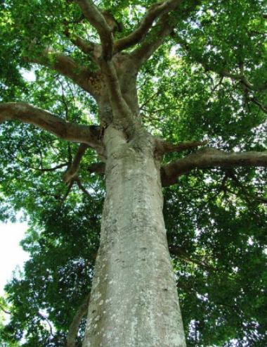 ����ʮ��Σ�U(xi��n)��ֲ���Ů�˻�֭Һ���ԏ�(qi��ng)���������w������