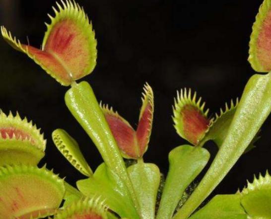 ����ʮ��Σ�U(xi��n)��ֲ���Ů�˻�֭Һ���ԏ�(qi��ng)���������w������