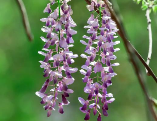 ����ʮ�󱯂��Ļ��Z��ݱ�»����Zĩ·֮�����˰������Z�����Ļؑ�