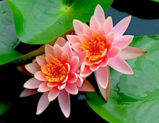 ����������ʮ������������˯ɏ�ǐ����������õ�����m�ϱ��_����