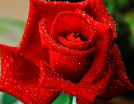 ����������ʮ������������˯ɏ�ǐ����������õ�����m�ϱ��_(d��)����