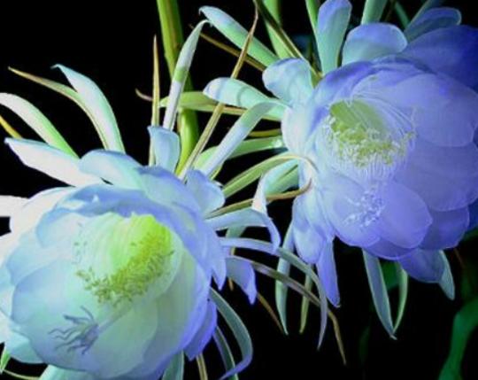 ����������ʮ������������˯ɏ�ǐ����������õ�����m�ϱ��_(d��)����