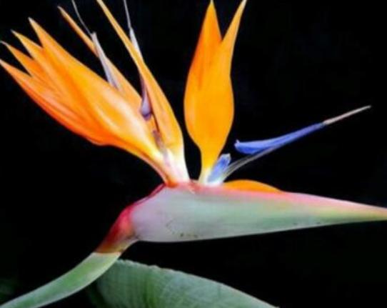 ����������ʮ������������˯ɏ�ǐ����������õ�����m�ϱ��_(d��)����