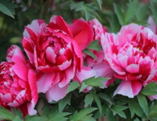 ����������ʮ������������˯ɏ�ǐ����������õ�����m�ϱ��_(d��)����