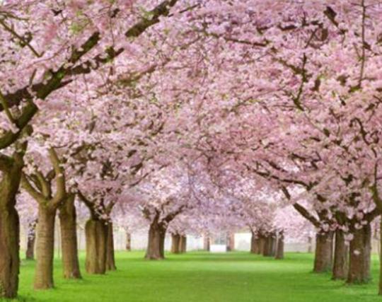 ����������ʮ������������˯ɏ�ǐ����������õ�����m�ϱ��_(d��)����