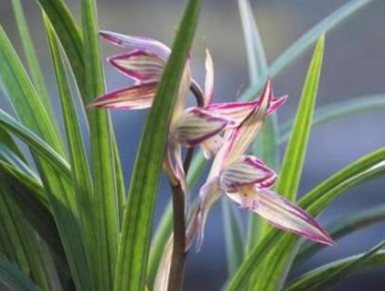 ����������ʮ������������˯ɏ�ǐ����������õ�����m�ϱ��_(d��)����