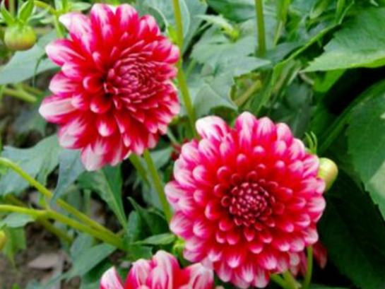 ����������ʮ������������˯ɏ�ǐ����������õ�����m�ϱ��_(d��)����