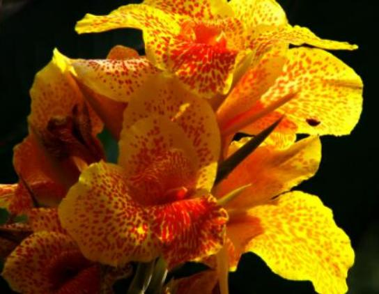 ����������ʮ������������˯ɏ�ǐ����������õ�����m�ϱ��_(d��)����