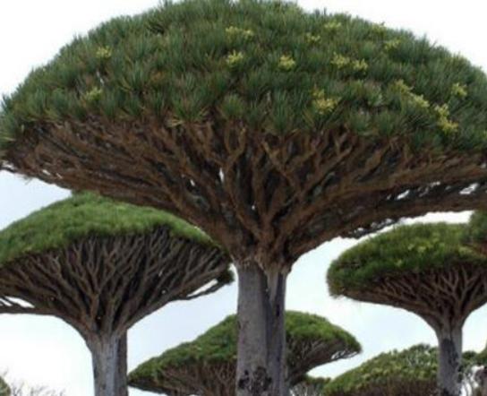 ����ʮ��֘����а�����Ѫ���L����֡���������ɿ��ԃ�ˮ