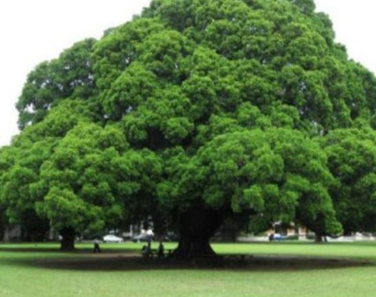 ����ʮ��֘����а���Ѫ���L����֡���������ɿ��ԃ�ˮ